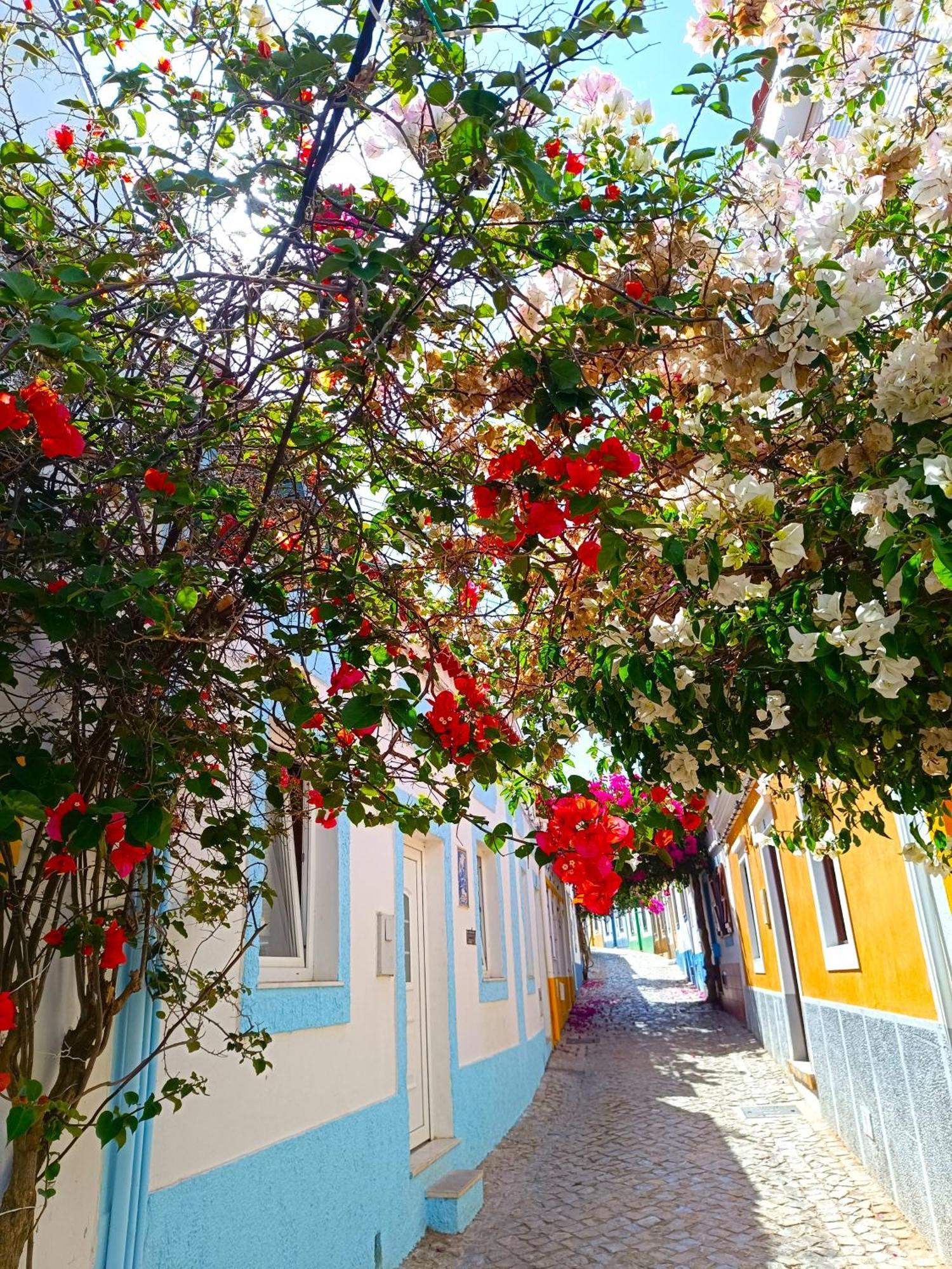 Wonderful Apartment In Ferragudo 2Double Beds Near Beaches And Golf Eksteriør bilde